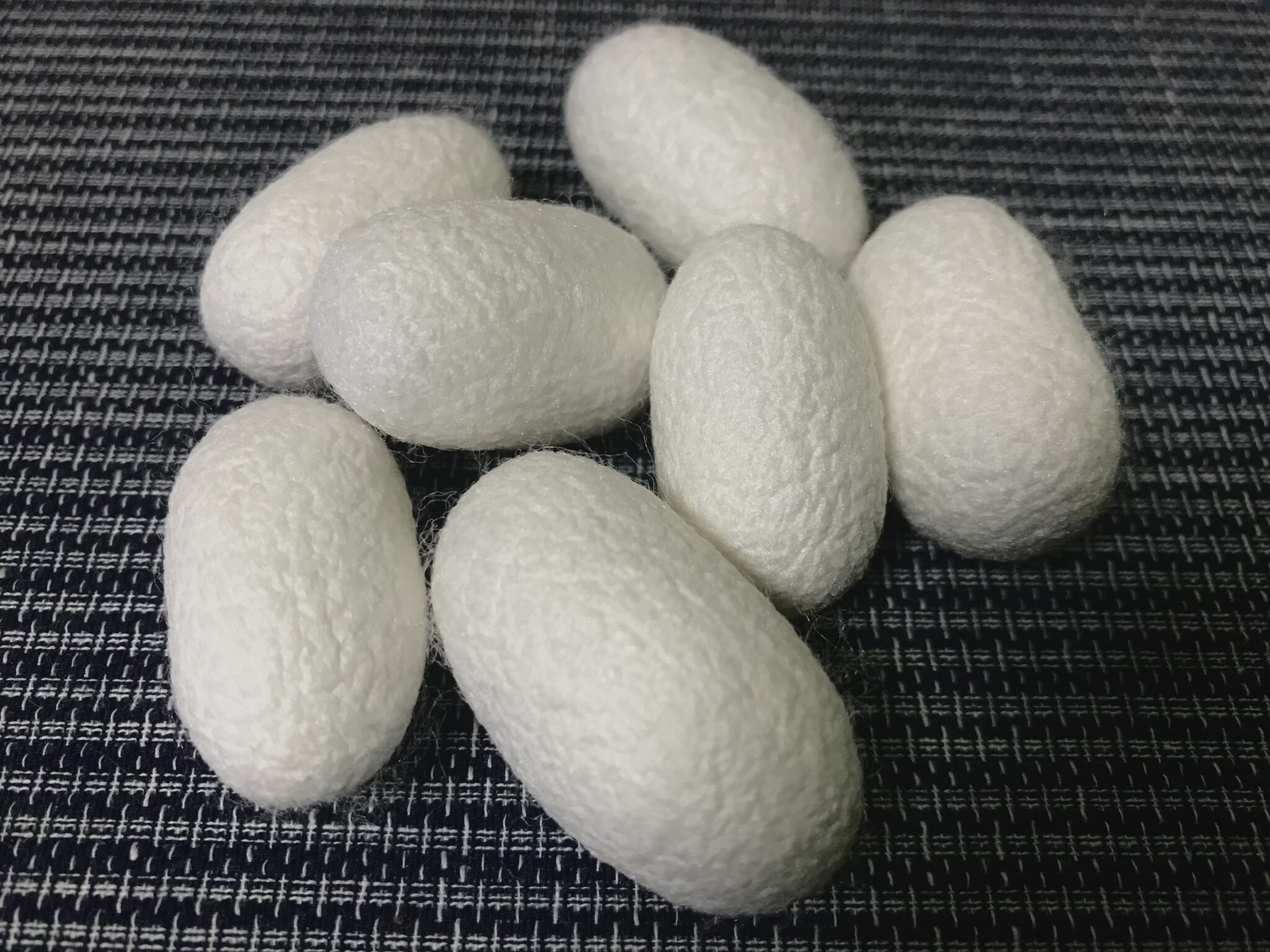 蚕(かいこ)の繭(まゆ)から生糸を作る場合は、糸を撚るのではなく繰る(くる) | iroai.jp