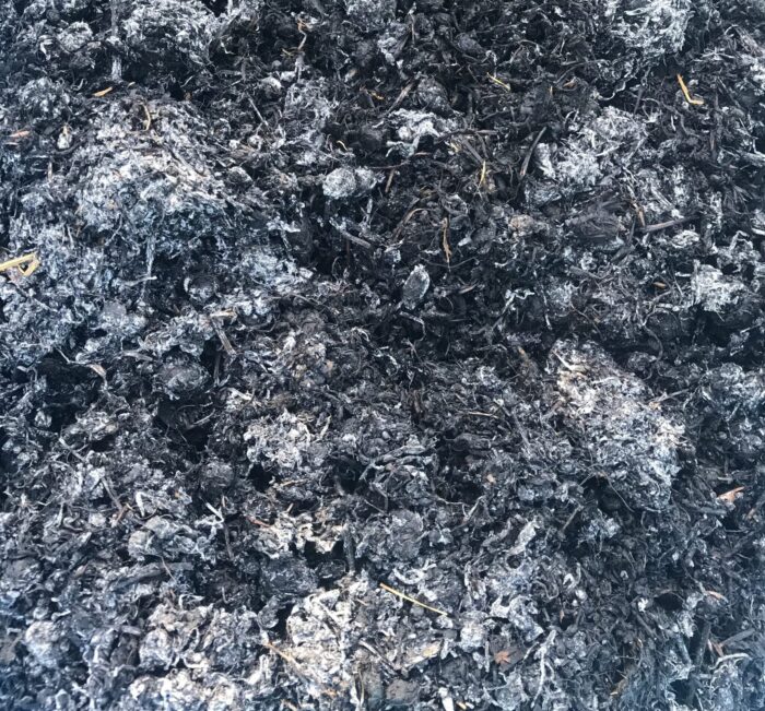 蒅（すくも）の状態にするため、藍の乾燥葉に水をかけて発酵させる過程であらわれる発酵菌（白い部分）