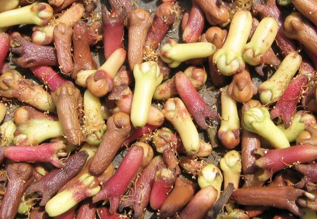 丁子（ちょうじ）