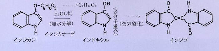 インドキシルからインディゴへの化学変化